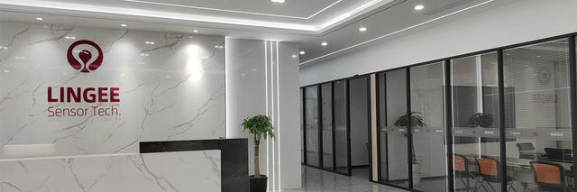 Lingee-Banner-1200-400